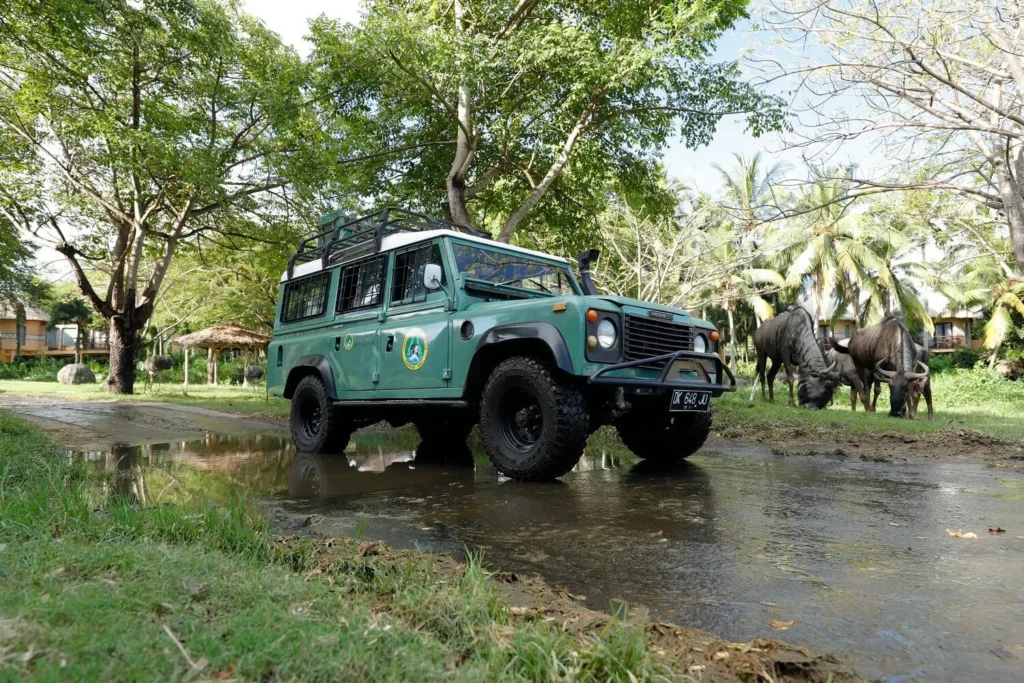 Off-Road dan Safari di Taman Safari Bali