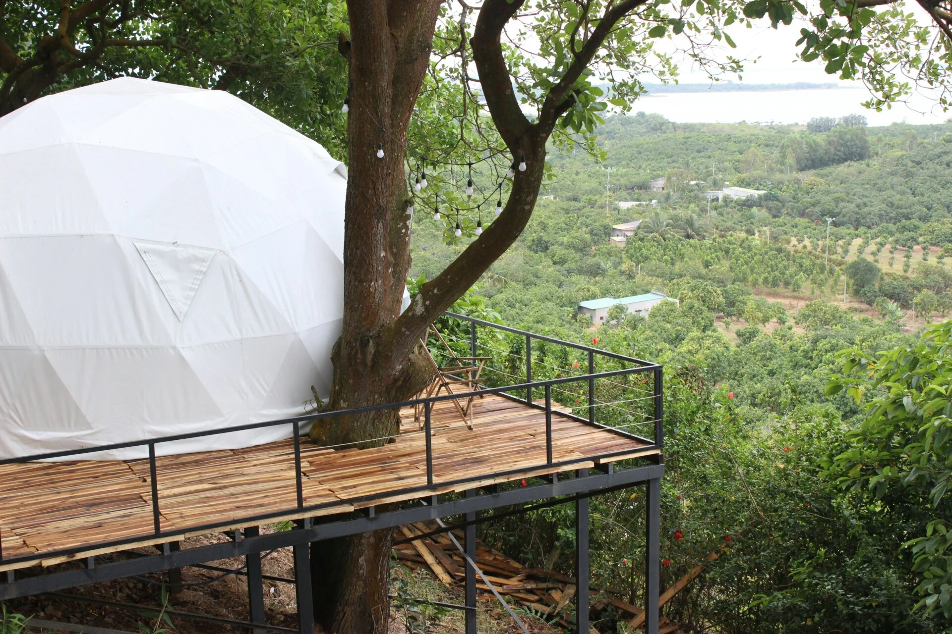 Rekomendasi Glamping di Puncak
