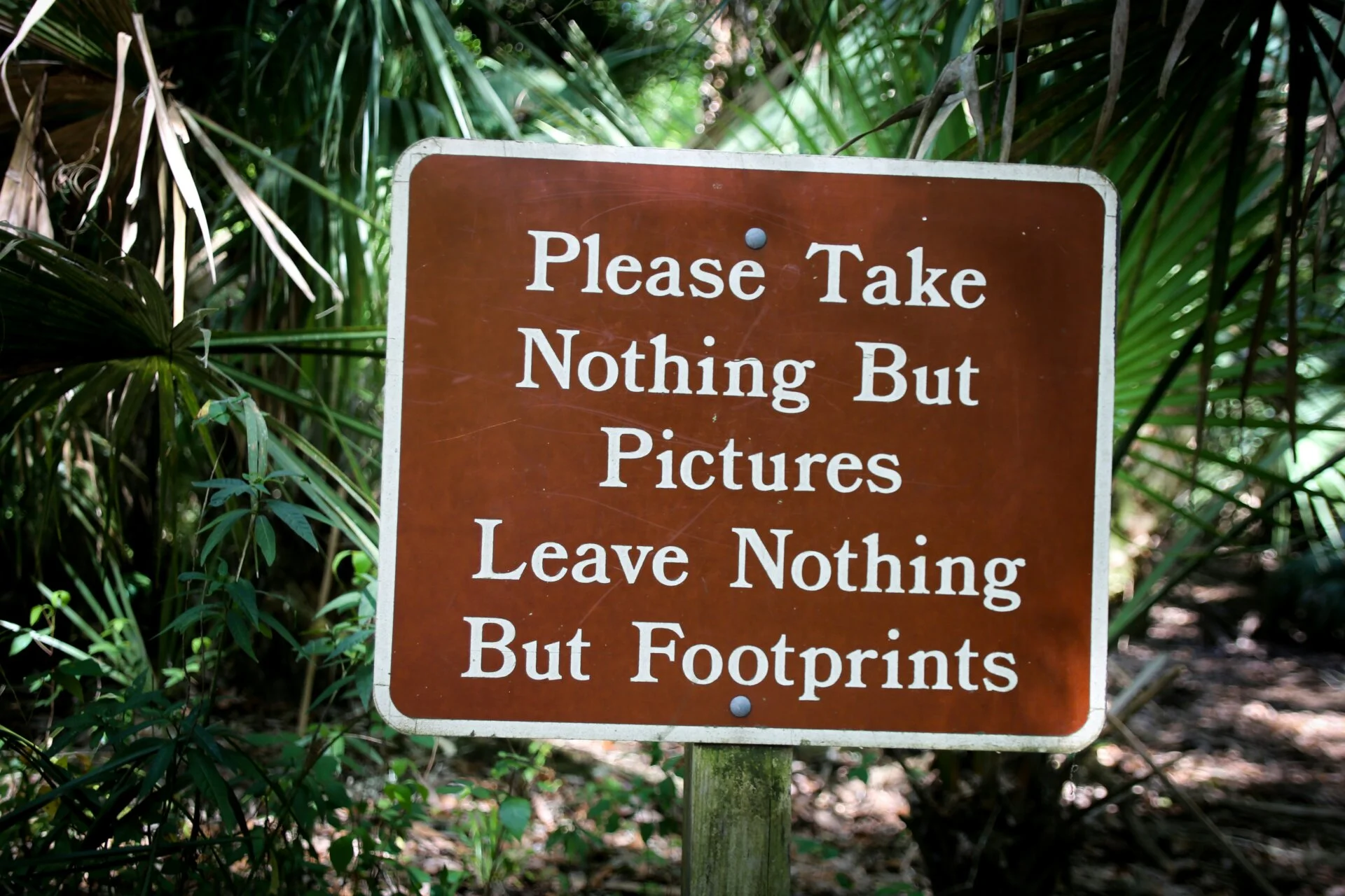 Leave No Trace: 7 Aturan Agar Petualanganmu Ramah Lingkungan