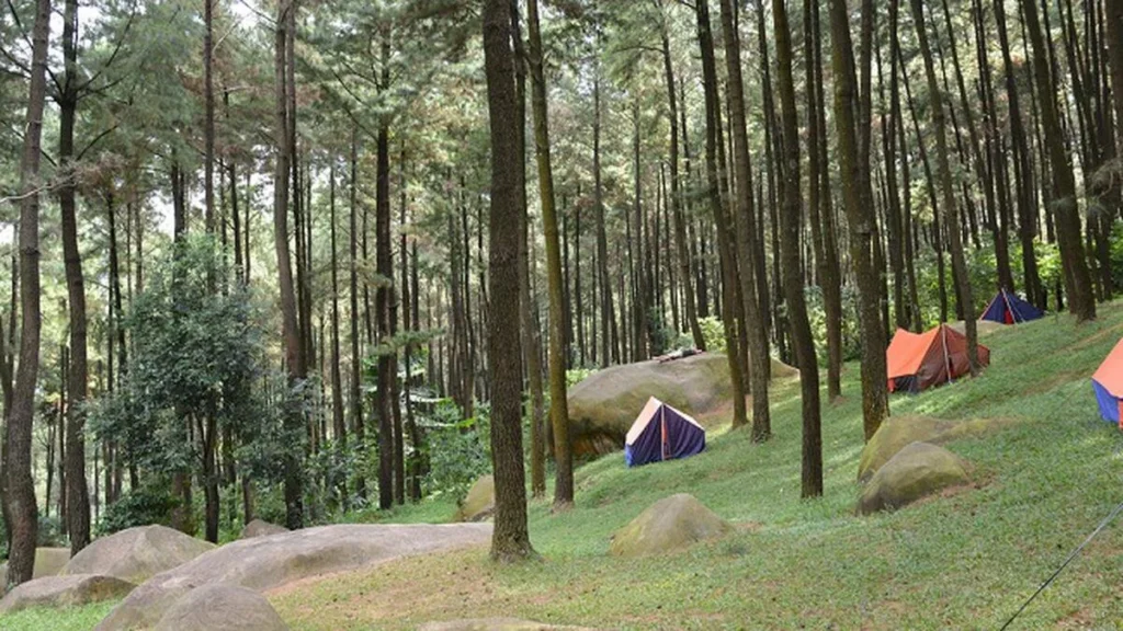 gunung pancar