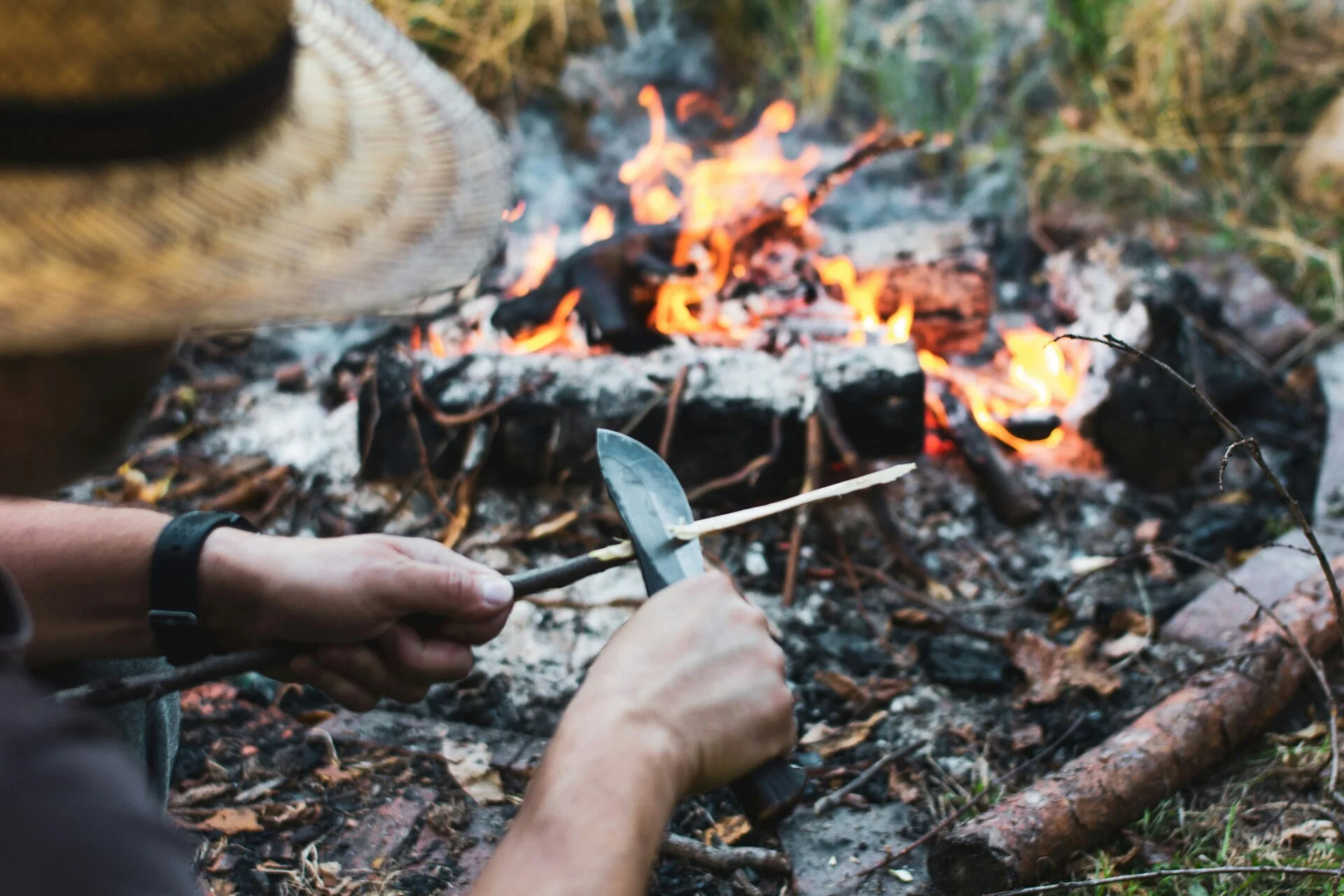 panduan survival dasar
