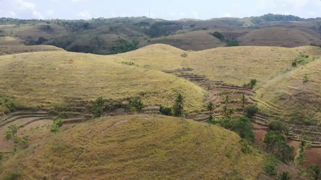 Bukit Teletubbies Bali
