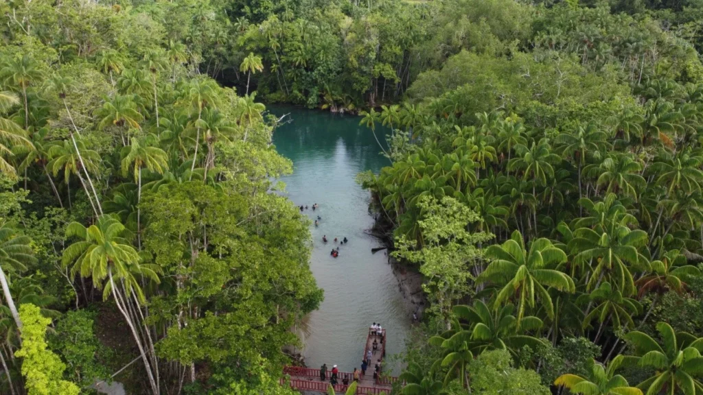 Pulau Enggano