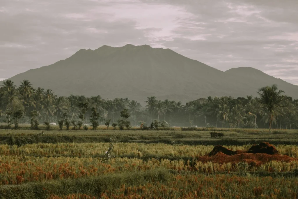 Banyuwangi