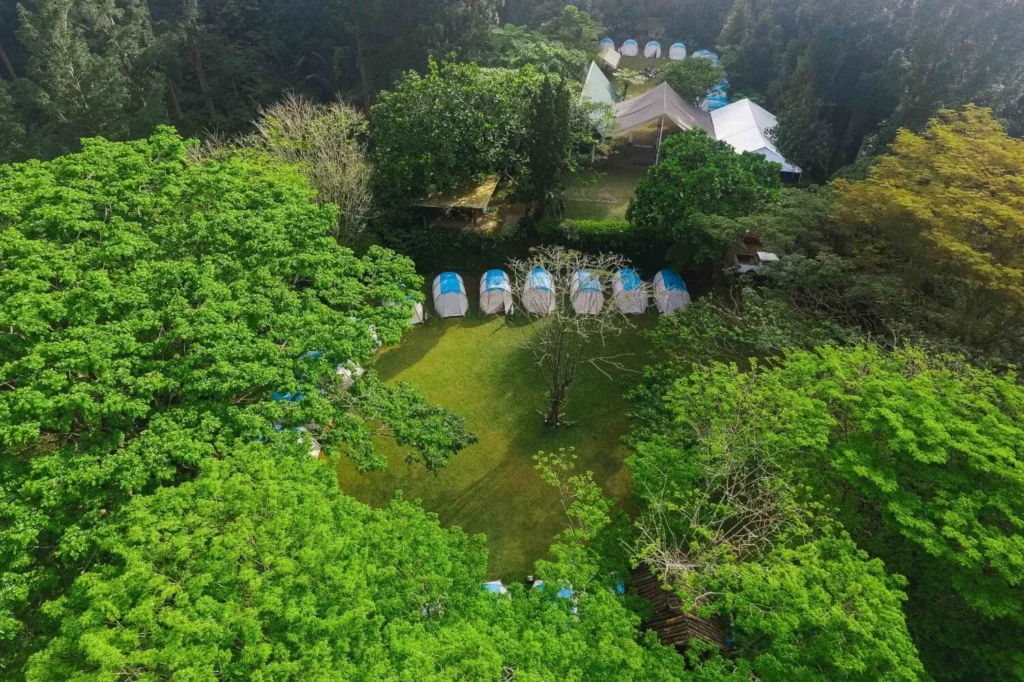 tanakita