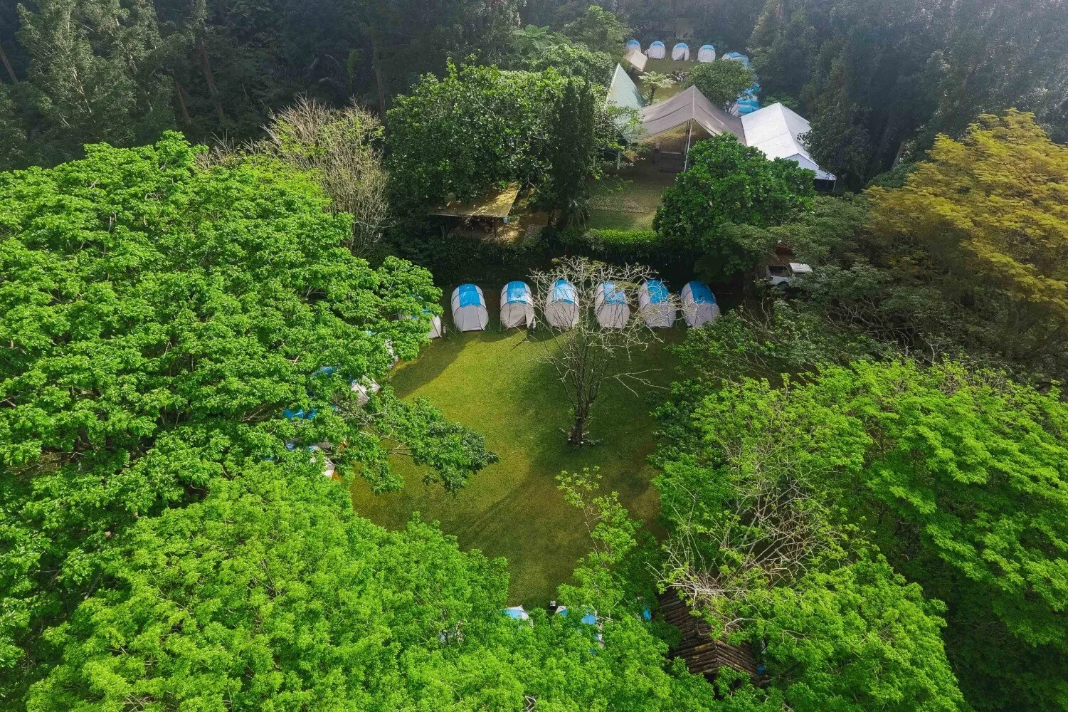 tanakita