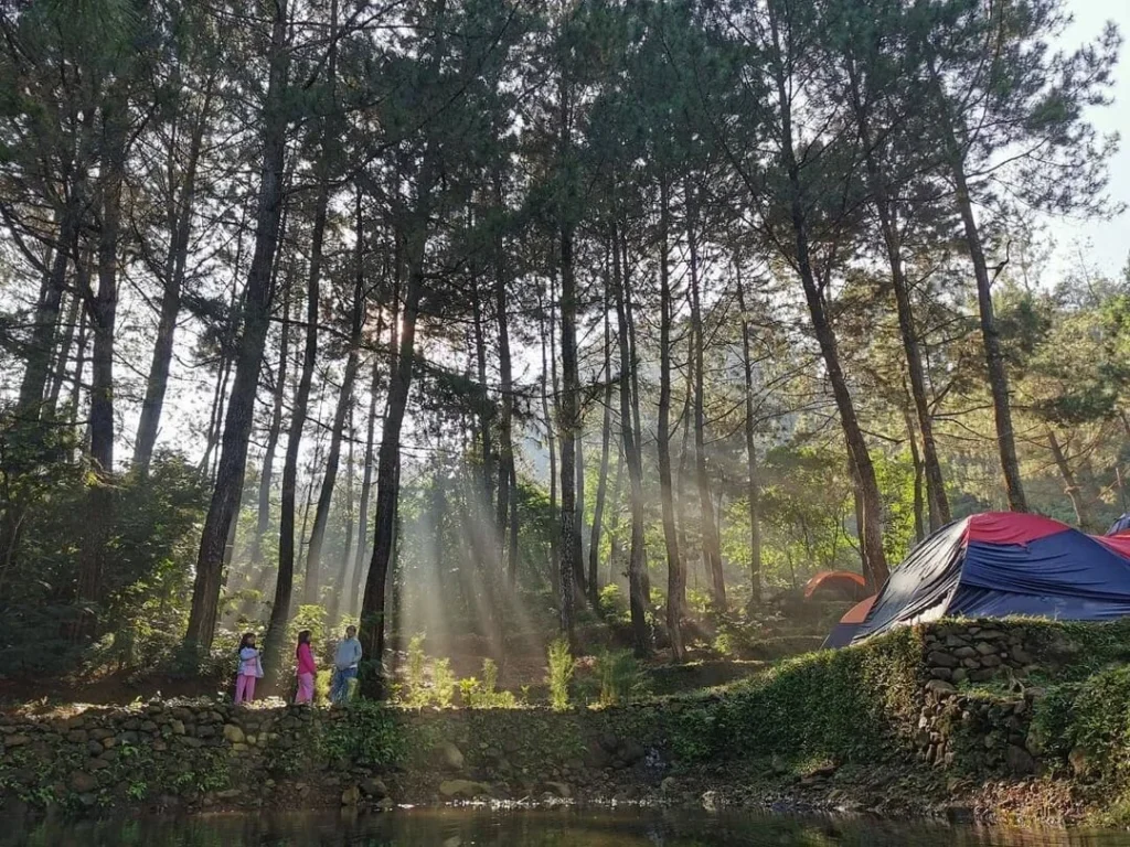 Highland Camp Curug Panjang