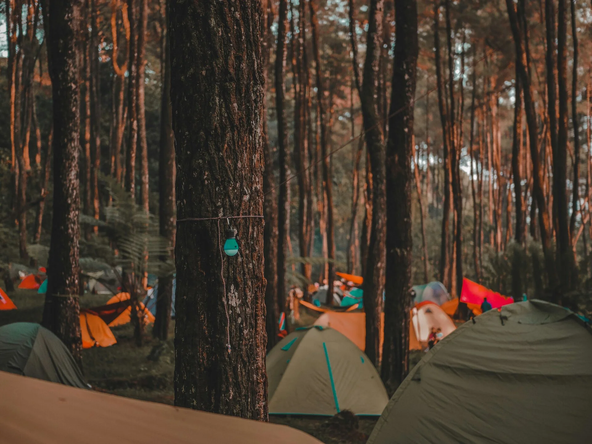 Tips Camping Saat Long Weekend: Camping Nyaman